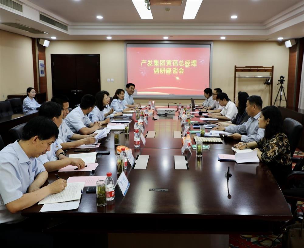 集團(tuán)黨委副書記、總經(jīng)理黃蓓帶隊(duì)調(diào)研濟(jì)南市工程咨詢?cè)? class=