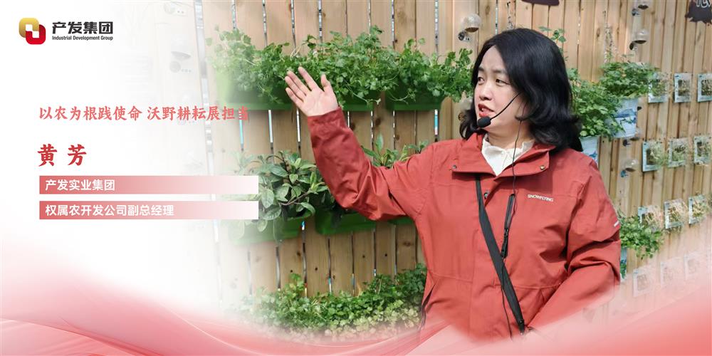 巾幗綻芳華 | 產(chǎn)發(fā)實(shí)業(yè)集團(tuán)權(quán)屬農(nóng)開發(fā)公司 黃芳：以農(nóng)為根踐使命，沃野耕耘展擔(dān)當(dāng)